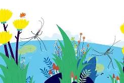 lxym4掉了-爱游戏官方体育